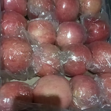 苹果75以上精品，纸夹膜