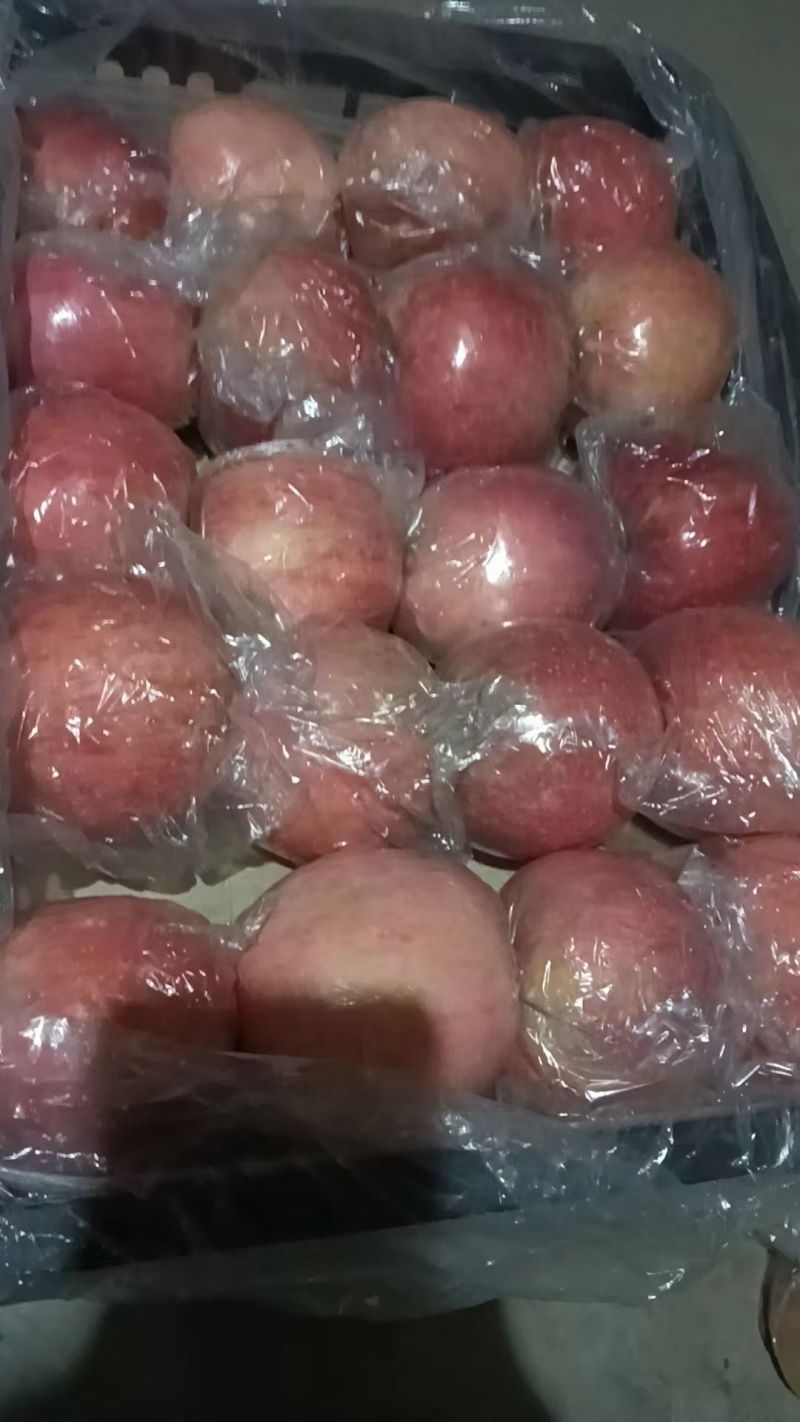 苹果75以上精品，纸夹膜