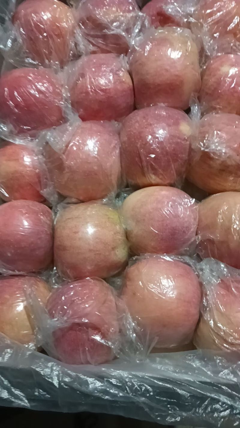 苹果75以上精品，纸夹膜