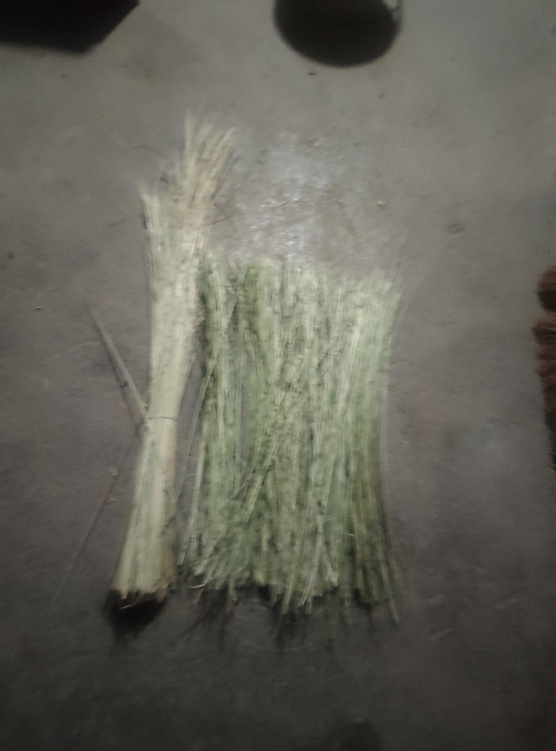 扫帚棕竹竿手工扫把