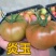 西红柿2两以上/2两以下
