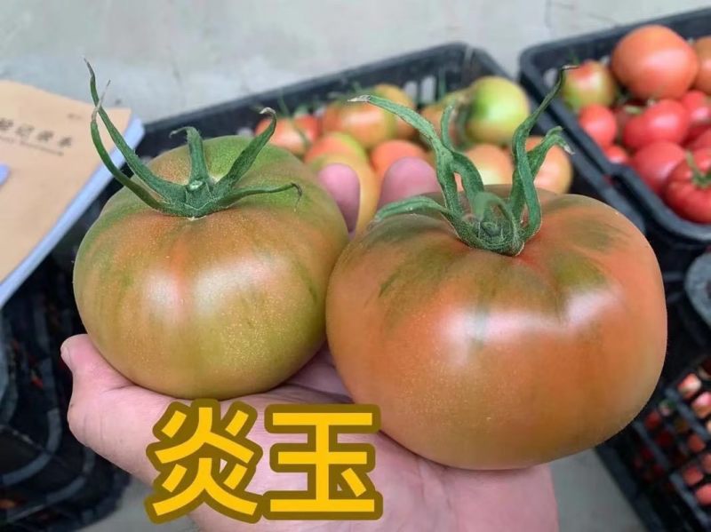 西红柿2两以上/2两以下