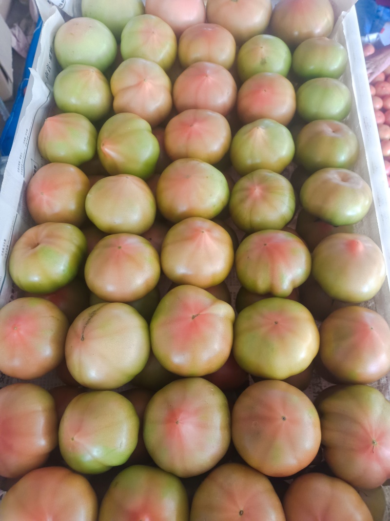 西红柿2两以上/2两以下