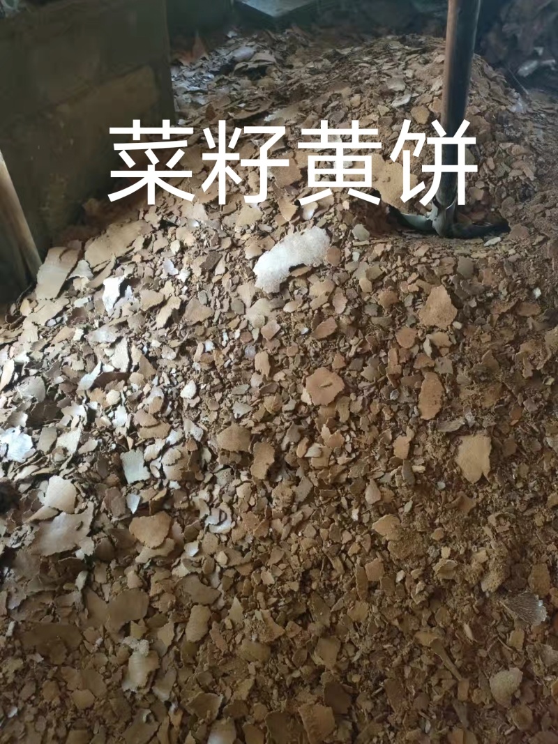 菜籽黄饼蛋白35%以上，脂肪6%，无土无沙小作坊新