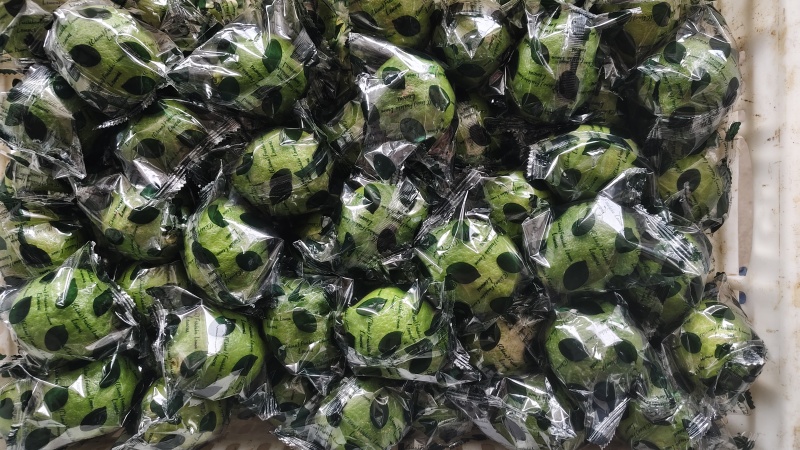 柠檬通货，一件代发
