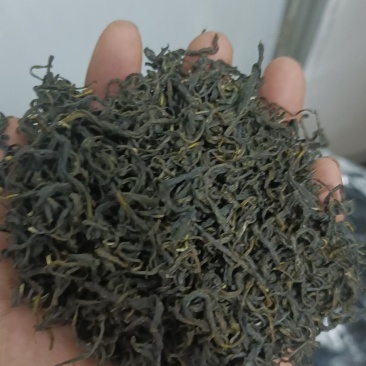 都匀毛尖散茶口粮茶