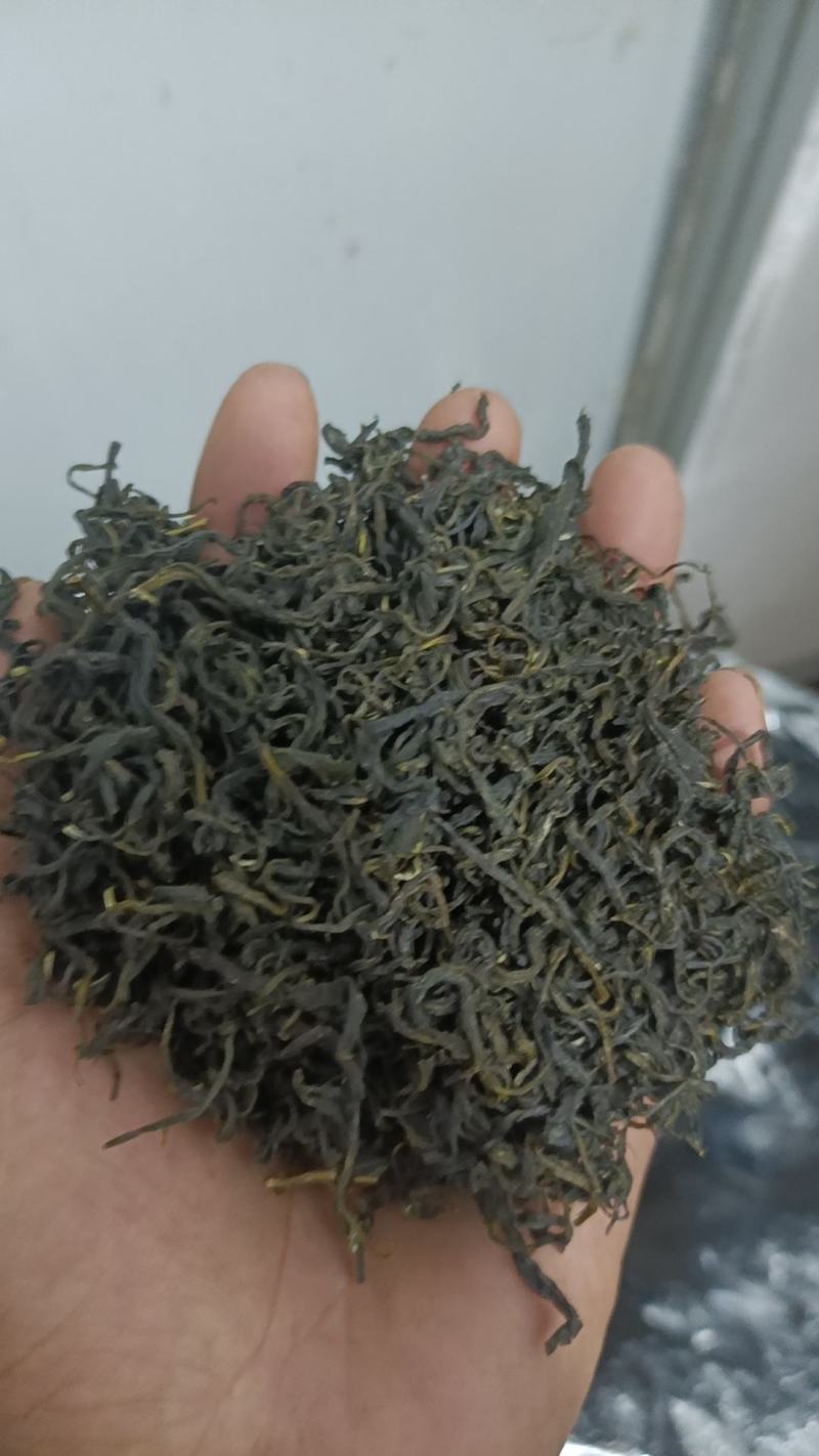 都匀毛尖散茶口粮茶