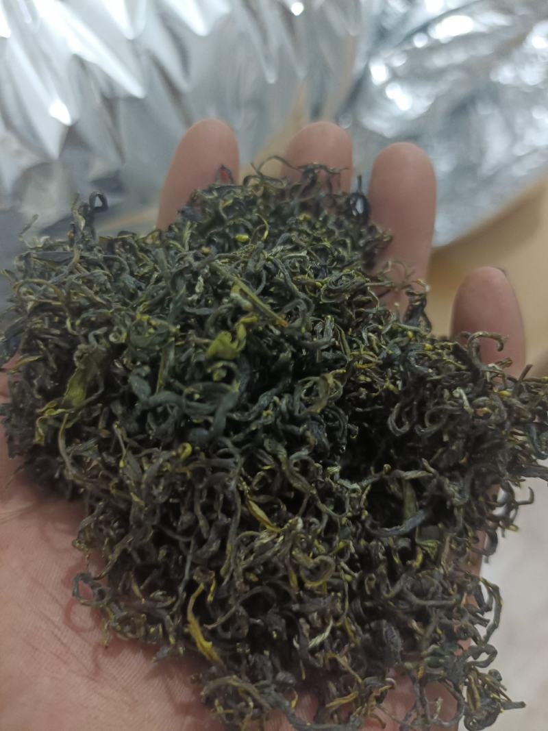 都匀毛尖散茶口粮茶