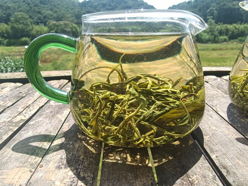 都匀毛尖散茶口粮茶