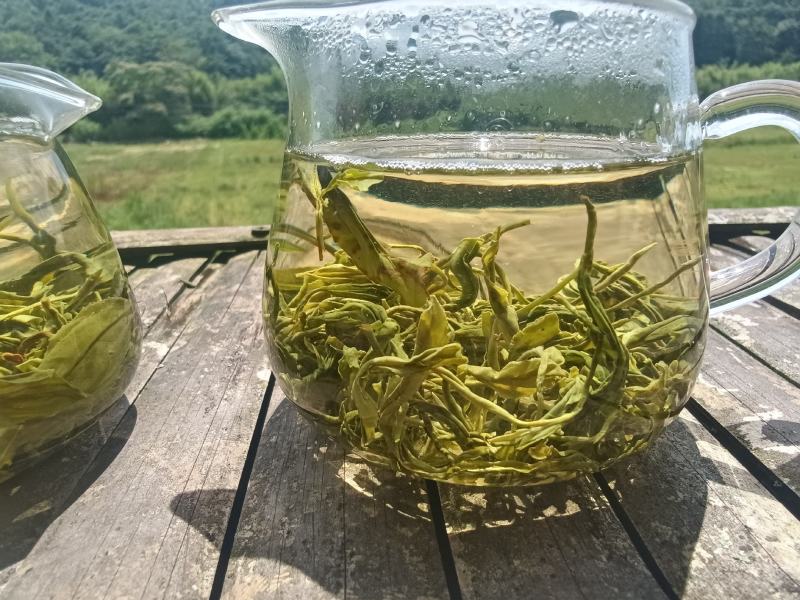 都匀毛尖散茶口粮茶