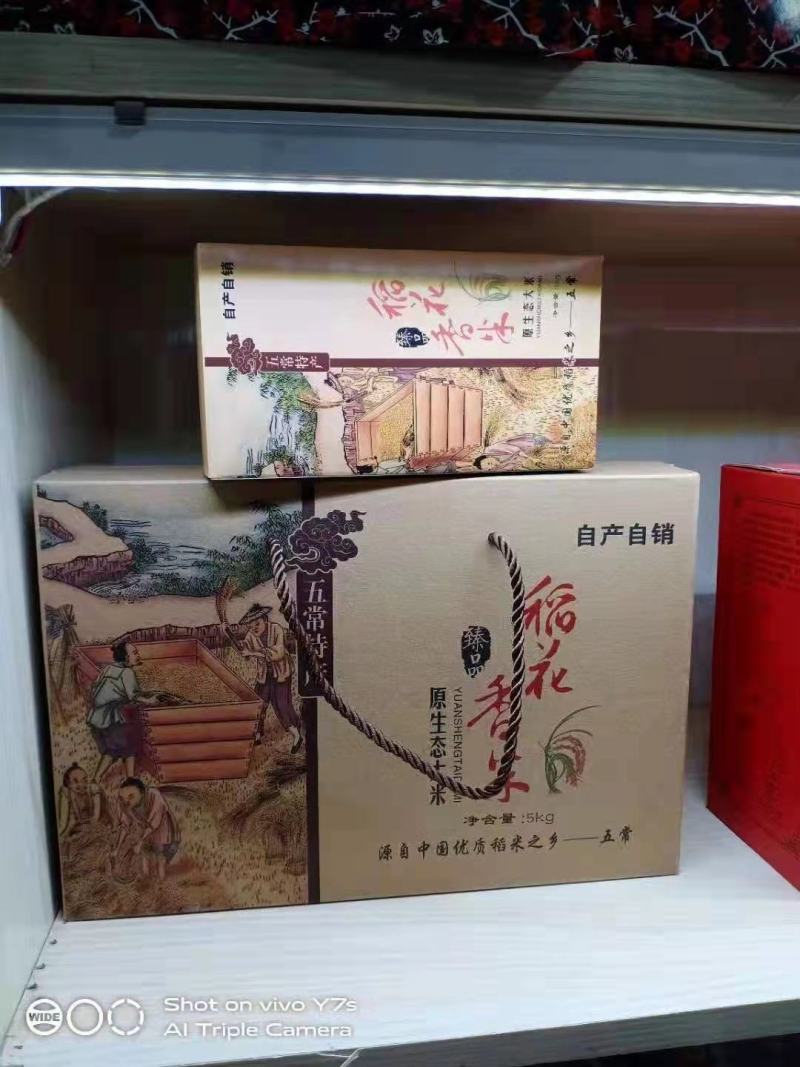 大米圆粒，稻花香2号