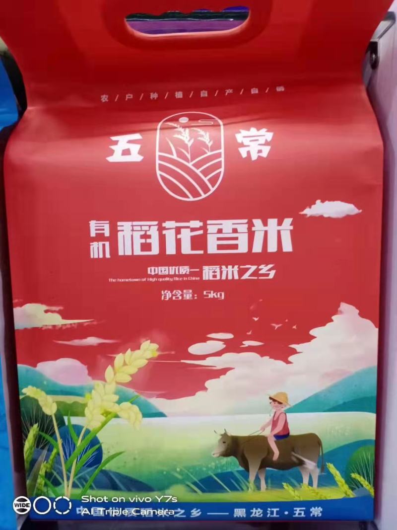 大米圆粒，稻花香2号