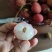 桂花香荔枝精品，小果大果分级