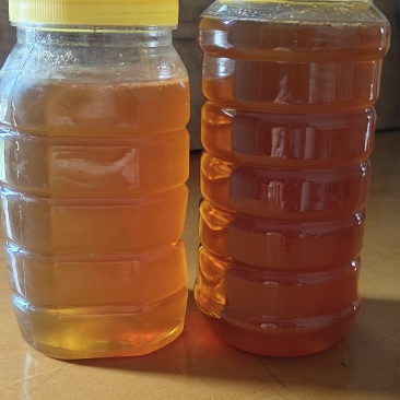 土蜂蜜瓶装和桶装，有检测报告