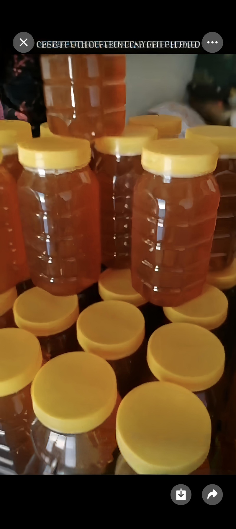 土蜂蜜瓶装和桶装，有检测报告