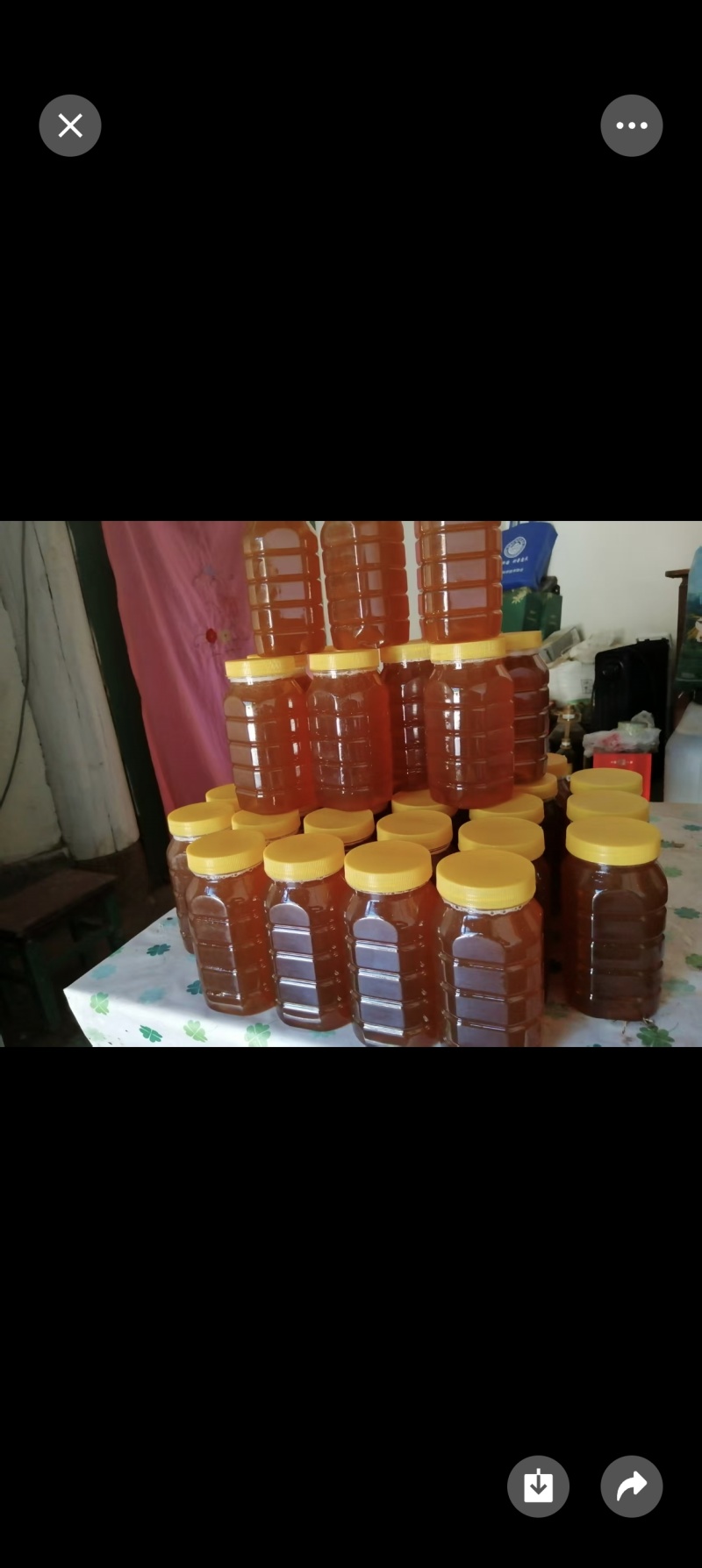 土蜂蜜瓶装和桶装，有检测报告