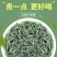 信阳毛尖一级一芽一叶/二级一芽两叶，礼盒装散装都有