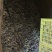 生姜大块姜，好品相，