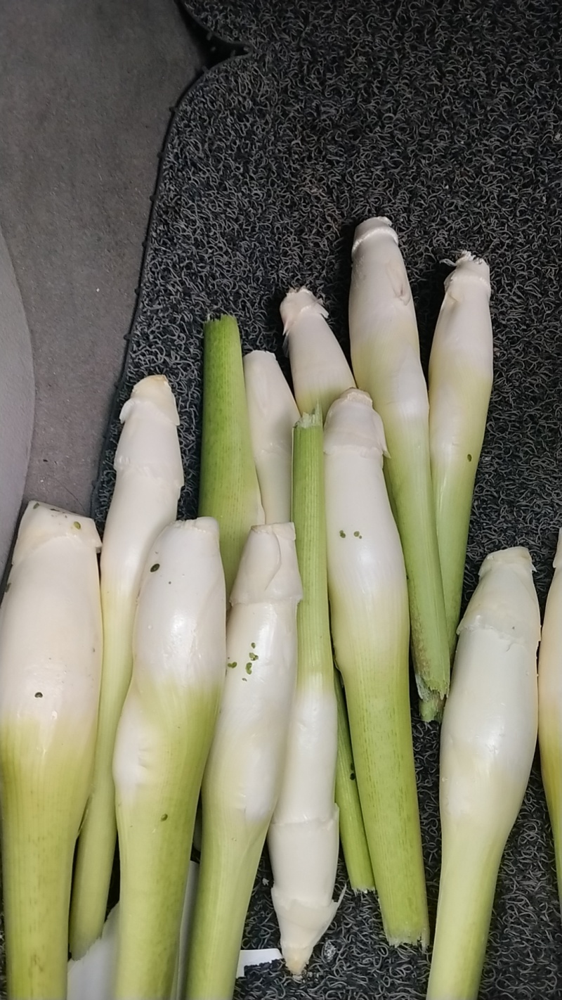 茭白3-4根一斤