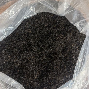 正宗高山古树红茶，绿茶核心产区，茶农直销
