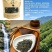 绿茶二叶一芽