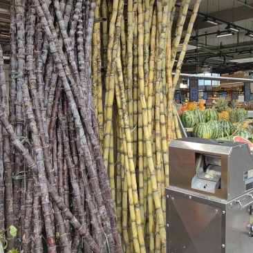甘蔗黑皮甘蔗，3米长直径5/6cm
