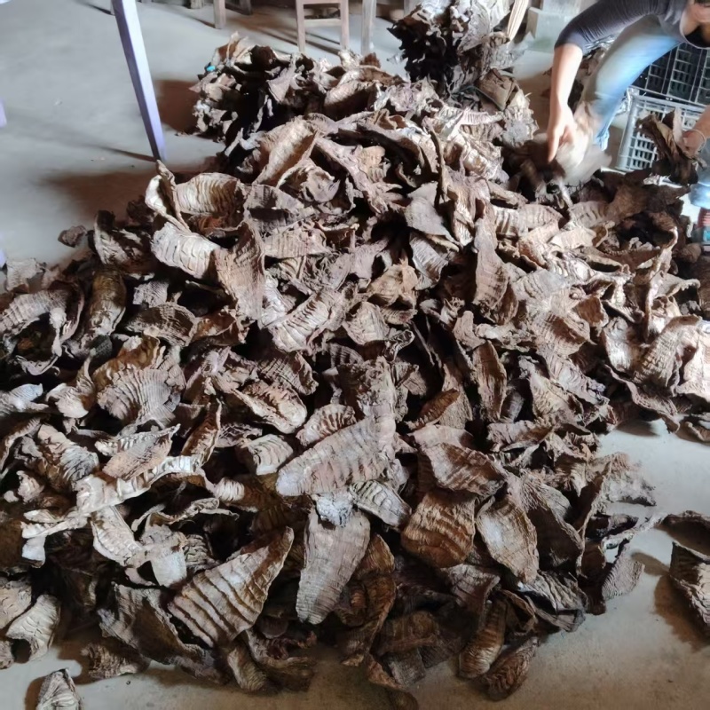 烟笋干通货，长短都有