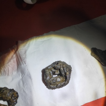 羊结石羊黄/羊结石，自己屠宰杀出来的