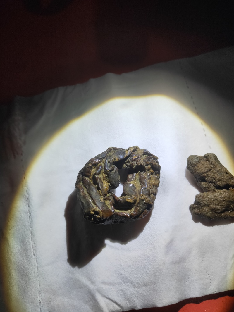 羊结石羊黄/羊结石，自己屠宰杀出来的