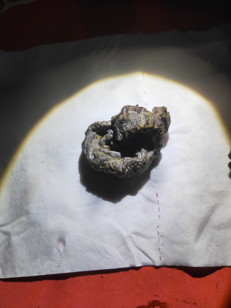羊结石羊黄/羊结石，自己屠宰杀出来的