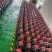 菜籽油瓶装，5升（净含9.4斤）/10升（净含