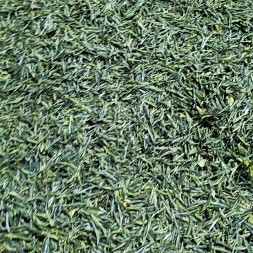 高山绿茶明前茶、雨前茶