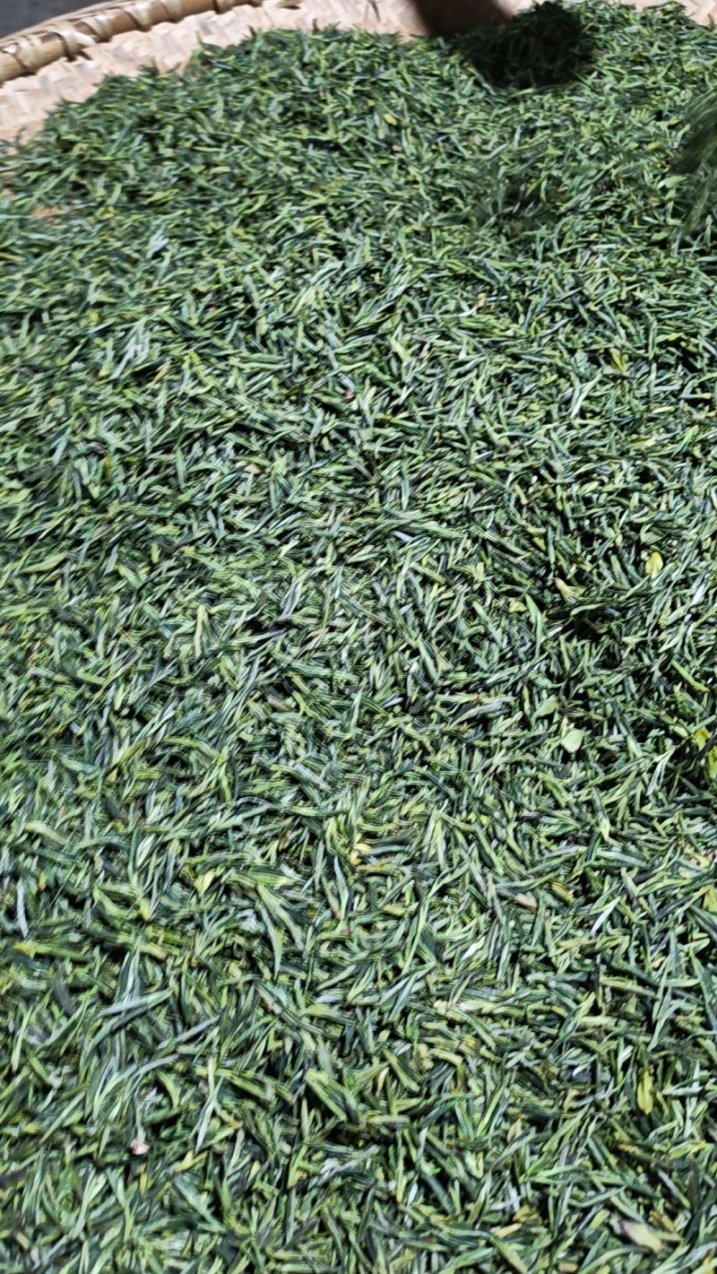 高山绿茶明前茶、雨前茶