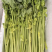 香芹长度50-65cm，粗细都有，不洗的纸箱装，洗好的泡