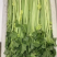 香芹长度50-65cm，粗细都有，不洗的纸箱装，洗好的泡