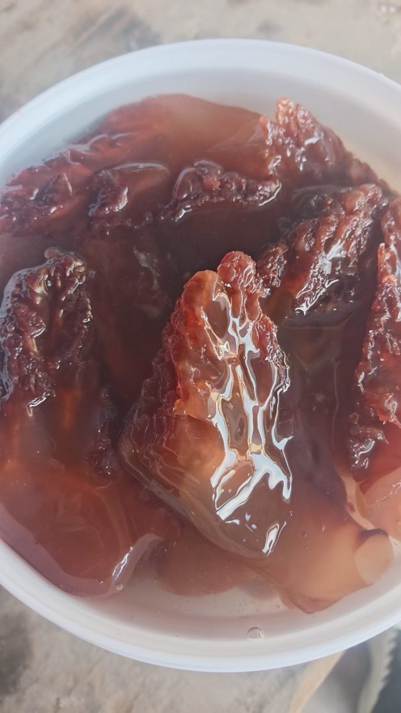 海蜇即食袋装420g/即食罐装480g/海蜇珊瑚丝桶装1