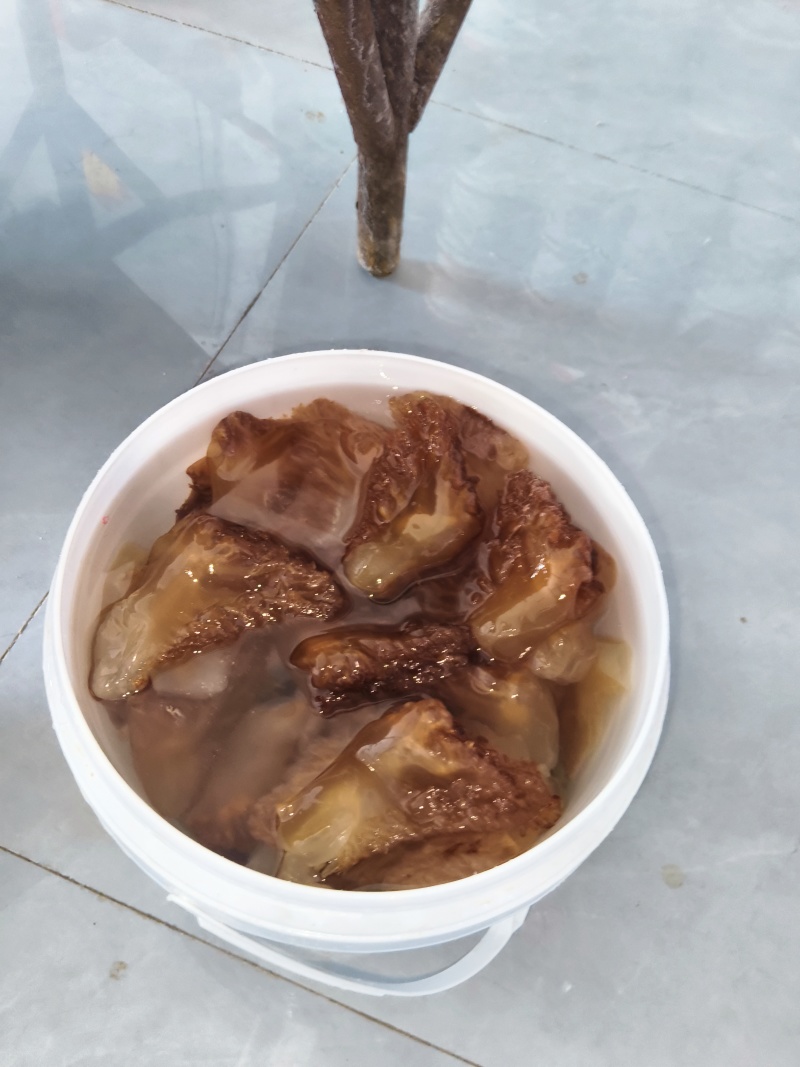 海蜇即食袋装420g/即食罐装480g/海蜇珊瑚丝桶装1