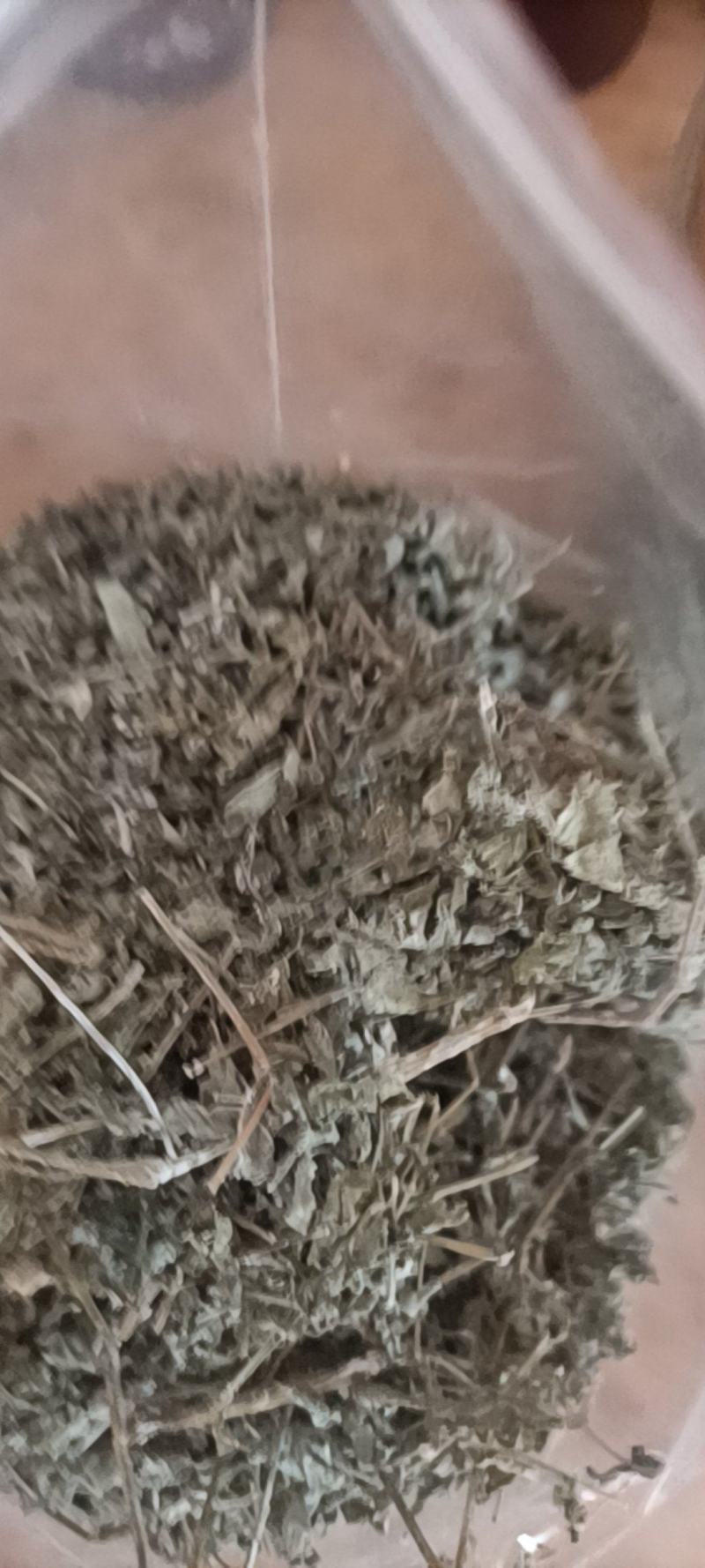 藤茶统货嫩芽
