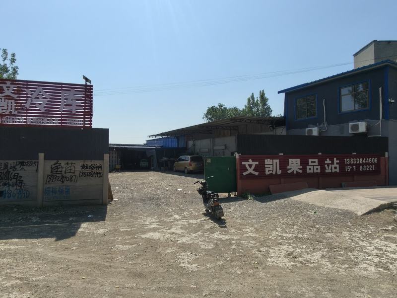 维多利亚葡萄电商货/超市货/精品货