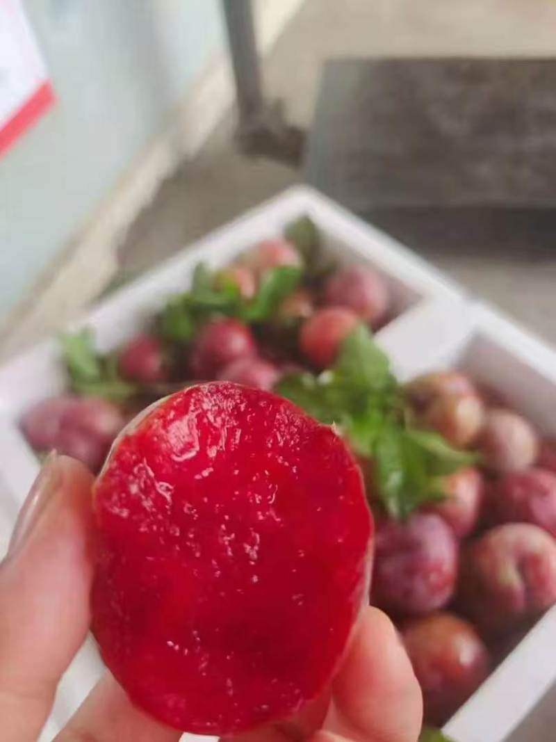 李子红肉李子，中大果