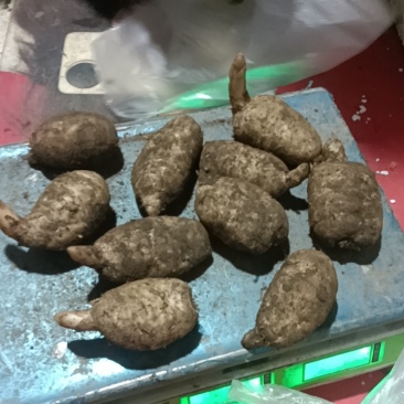 天麻无硫天麻片