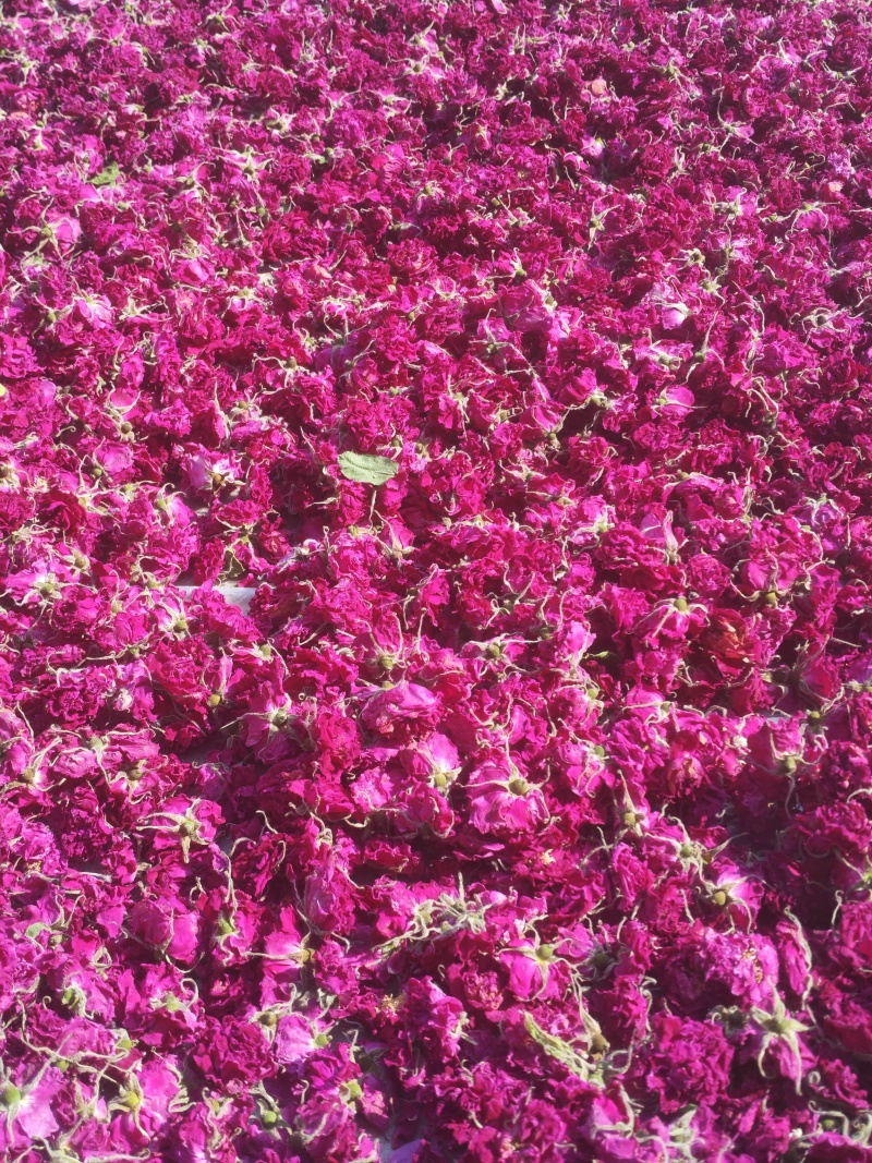 平阴重瓣红玫瑰花茶大朵干玫瑰无硫烘干散装整箱批发