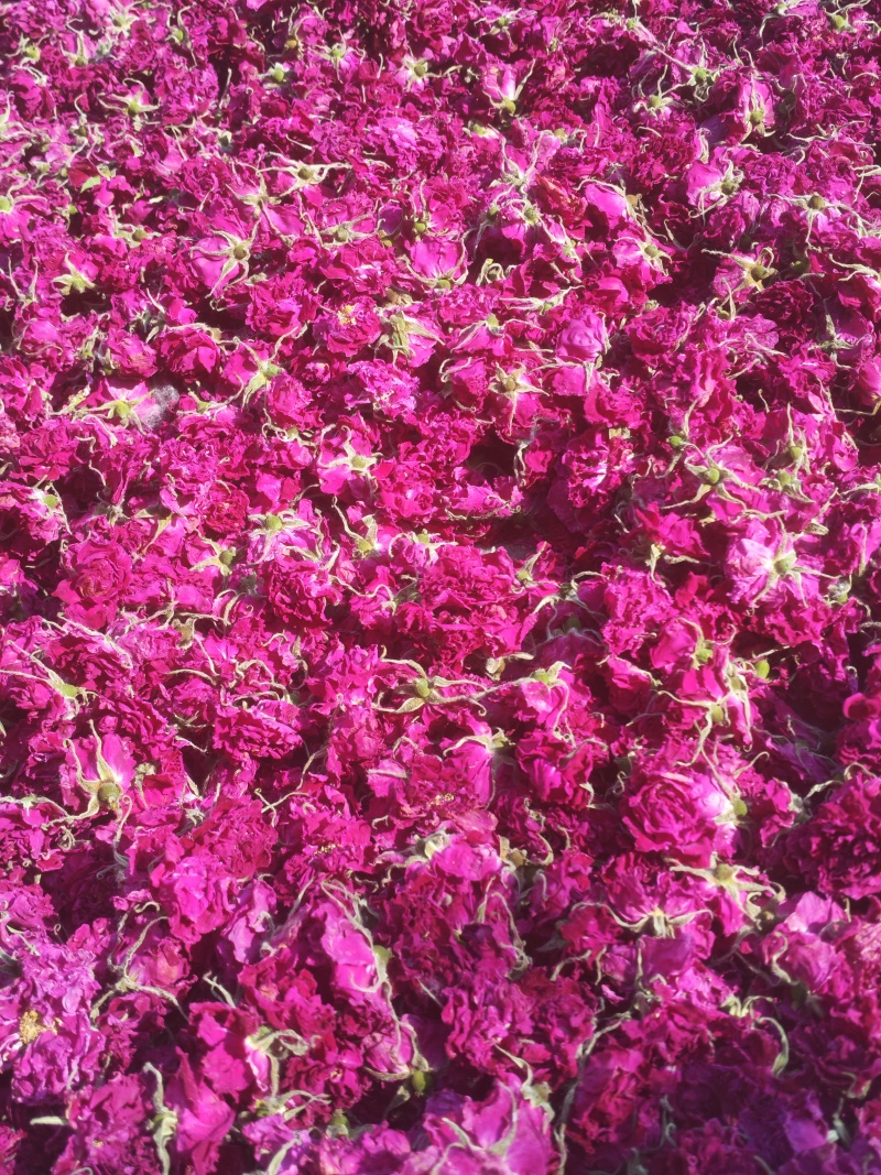 平阴重瓣红玫瑰花茶大朵干玫瑰无硫烘干散装整箱批发