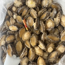 鲍鱼40头/60头
