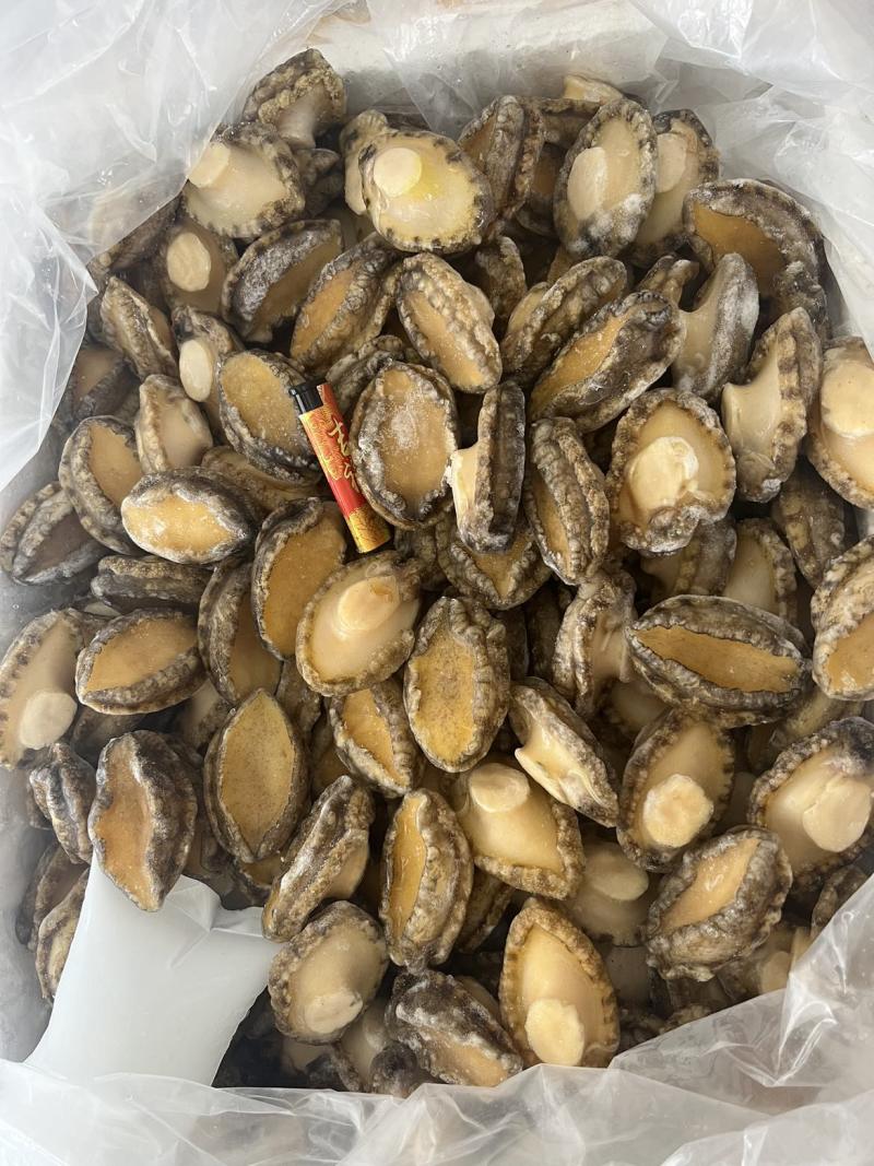 鲍鱼50头