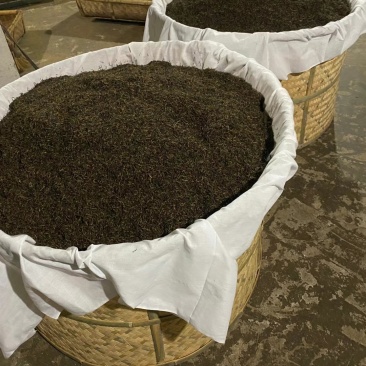 祁门红茶红茶毛峰、香螺、高山野茶