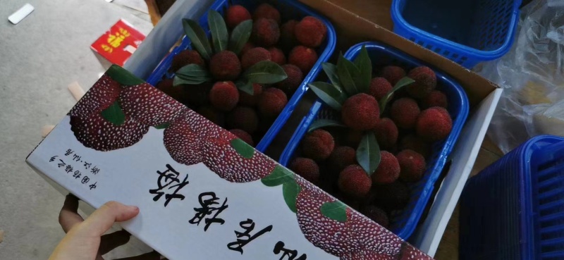杨梅25-30克，6斤装/箱；精品黑色托盘包装