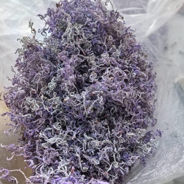 紫色莓茶干茶，初级农产品