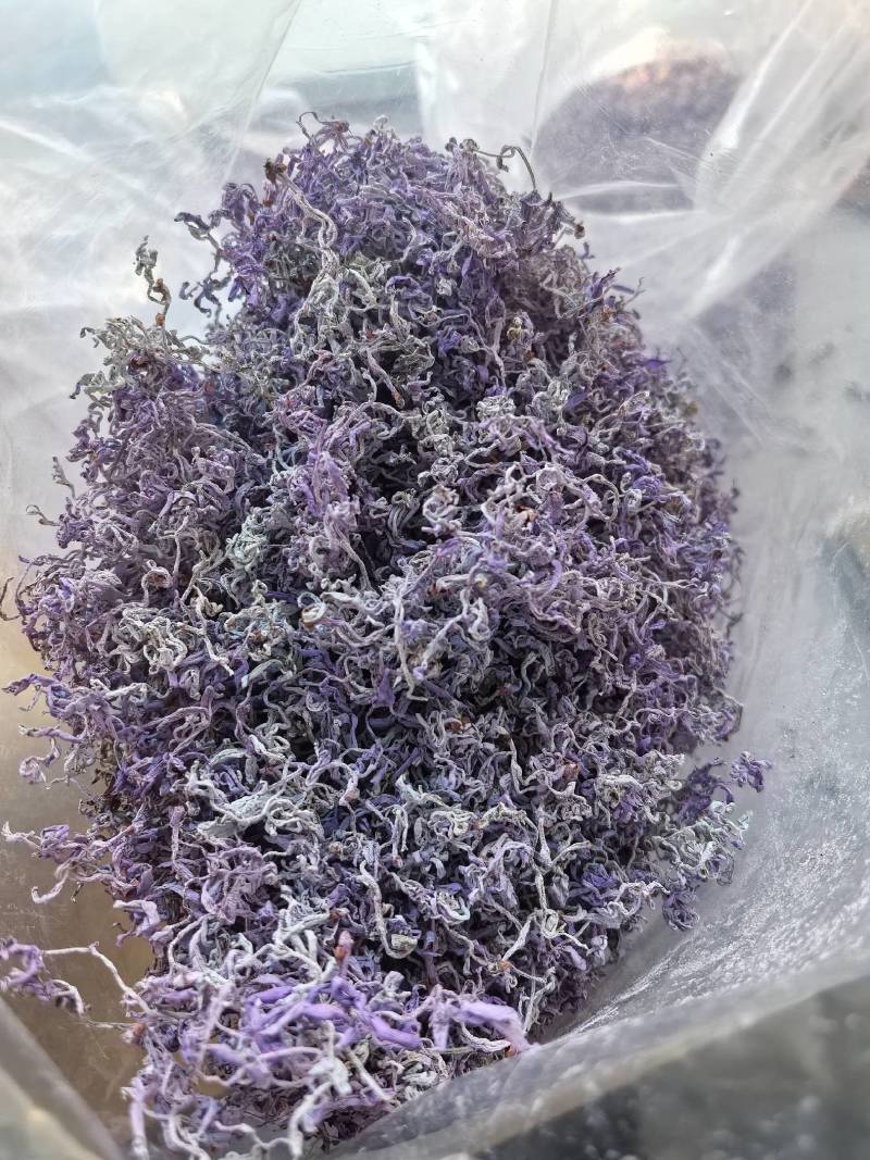 紫色莓茶干茶，初级农产品