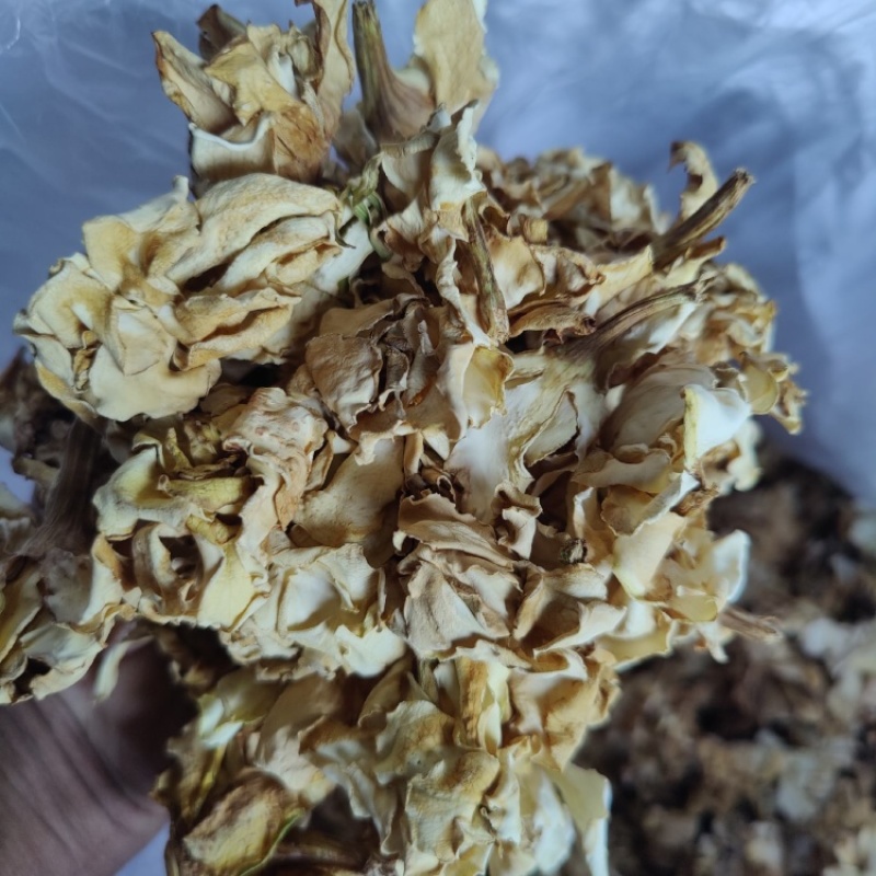 栀子花